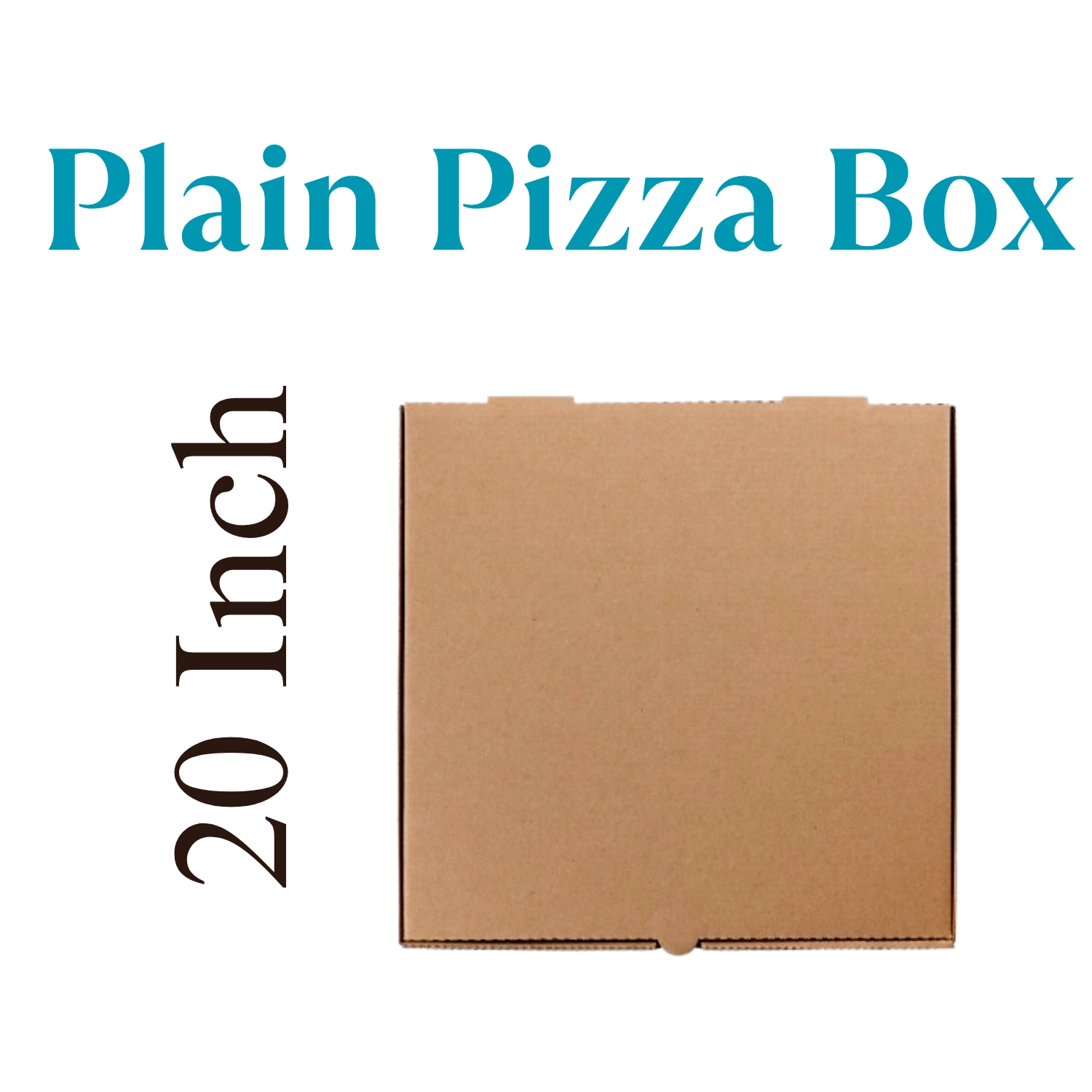 Plain Brown Pizza Box 20
